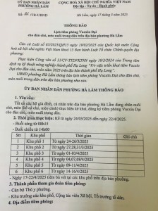 Phường Hà Lầm triển khai tiêm vắc xin phòng bệnh Dại cho đàn chó, mèo năm 2025